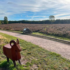 23-09-20 09-43-48 7121